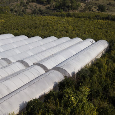 Protected greenhouse roofs